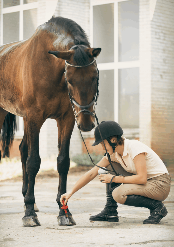 soins-naturels-chevaux