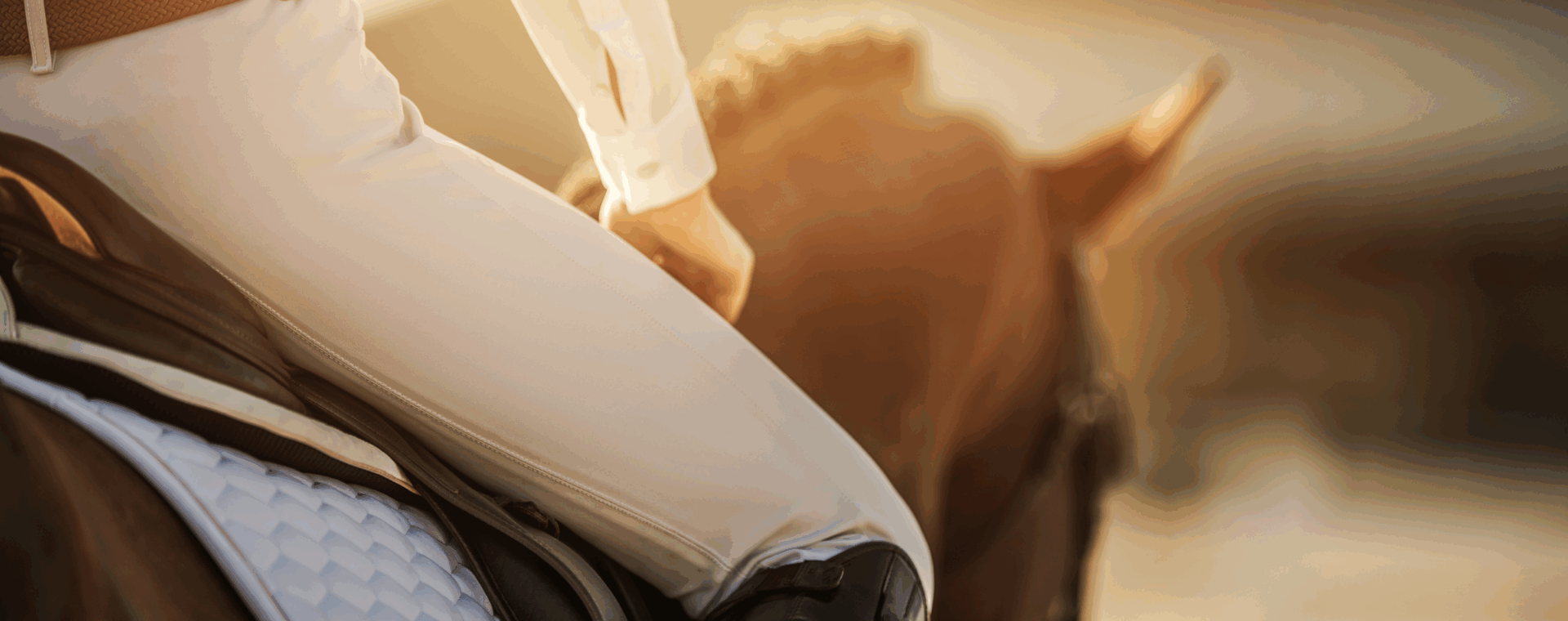 equitation-responsable