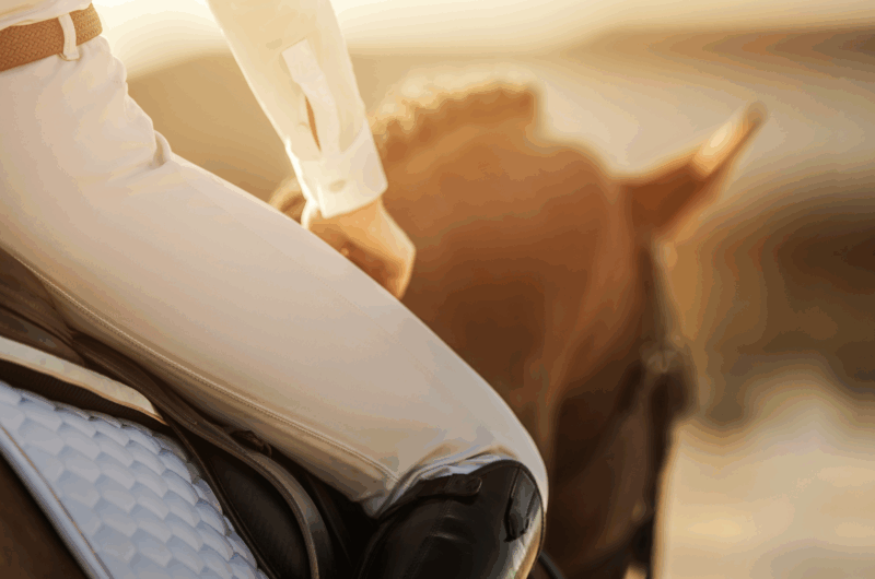 equitation-responsable