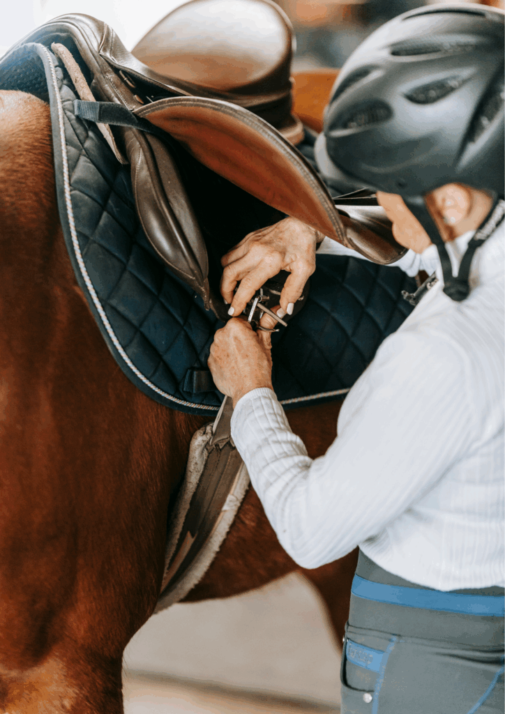 equipement-equestre-responsable